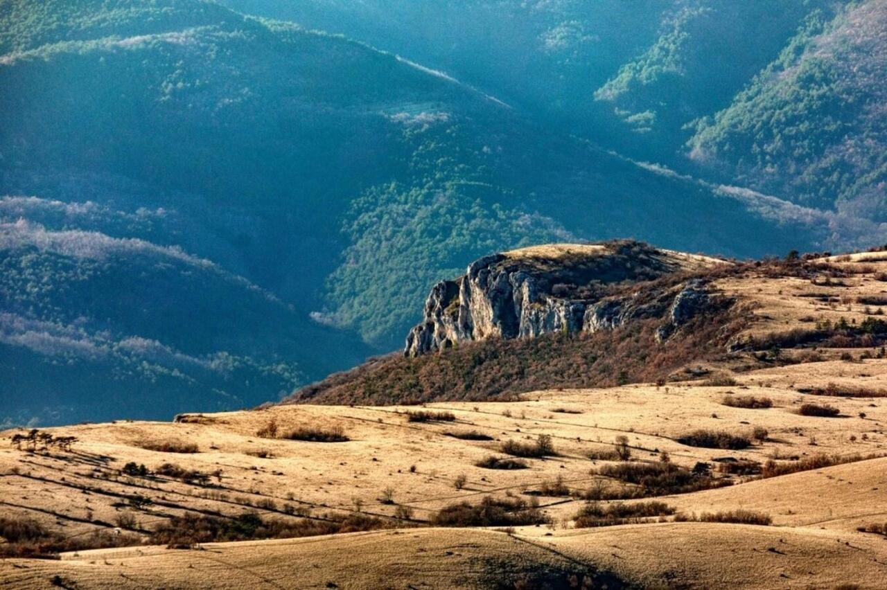 Residence Hidden Heaven Buzet Dış mekan fotoğraf